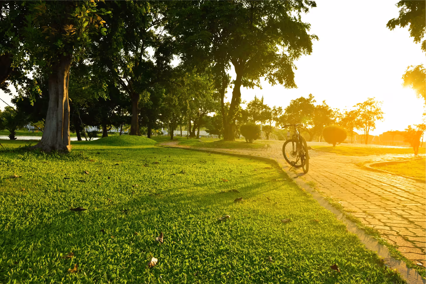 Park and green open spaces